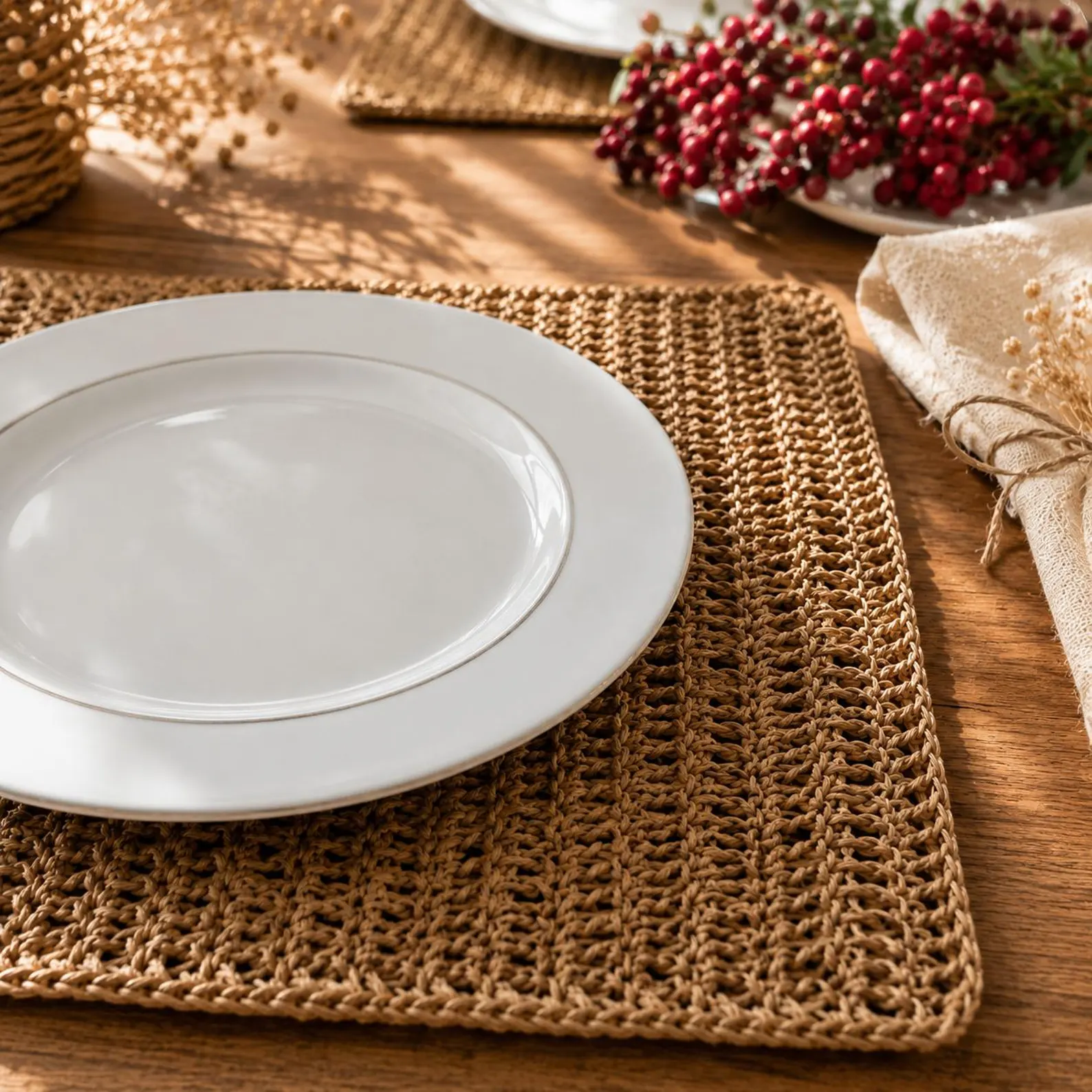 Boho Stripes & Natural Paper Yarn Placemat Set