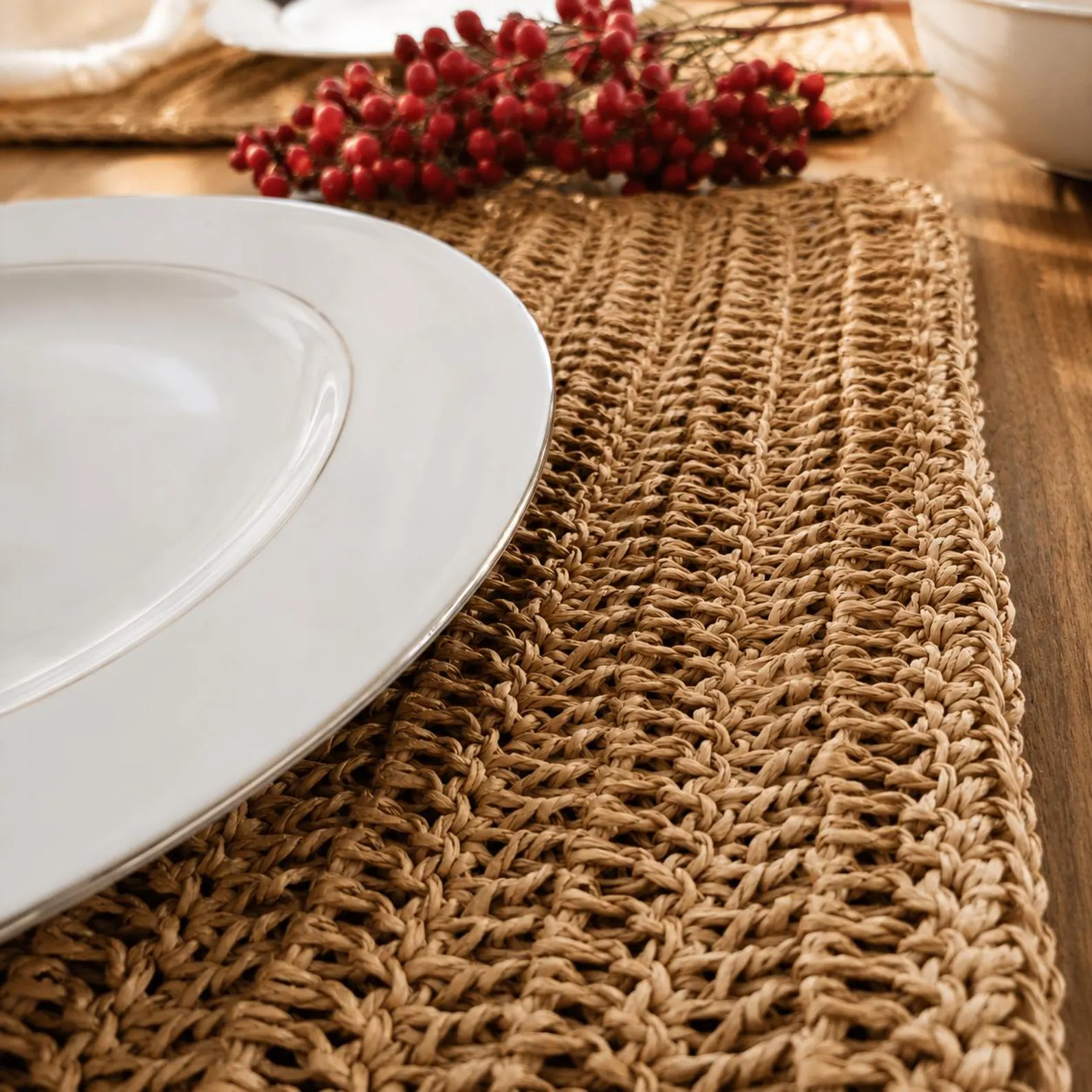 Boho Stripes & Natural Paper Yarn Placemat Set