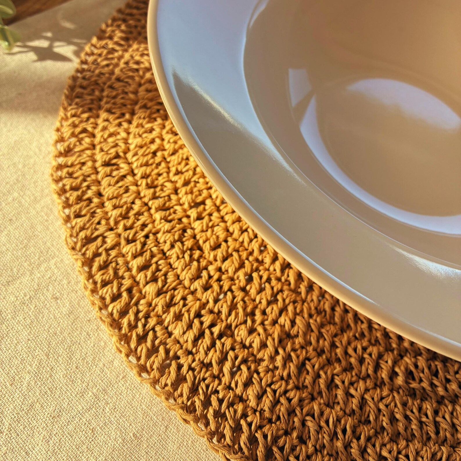 Hand Crocheted Paper Yarn Placemat