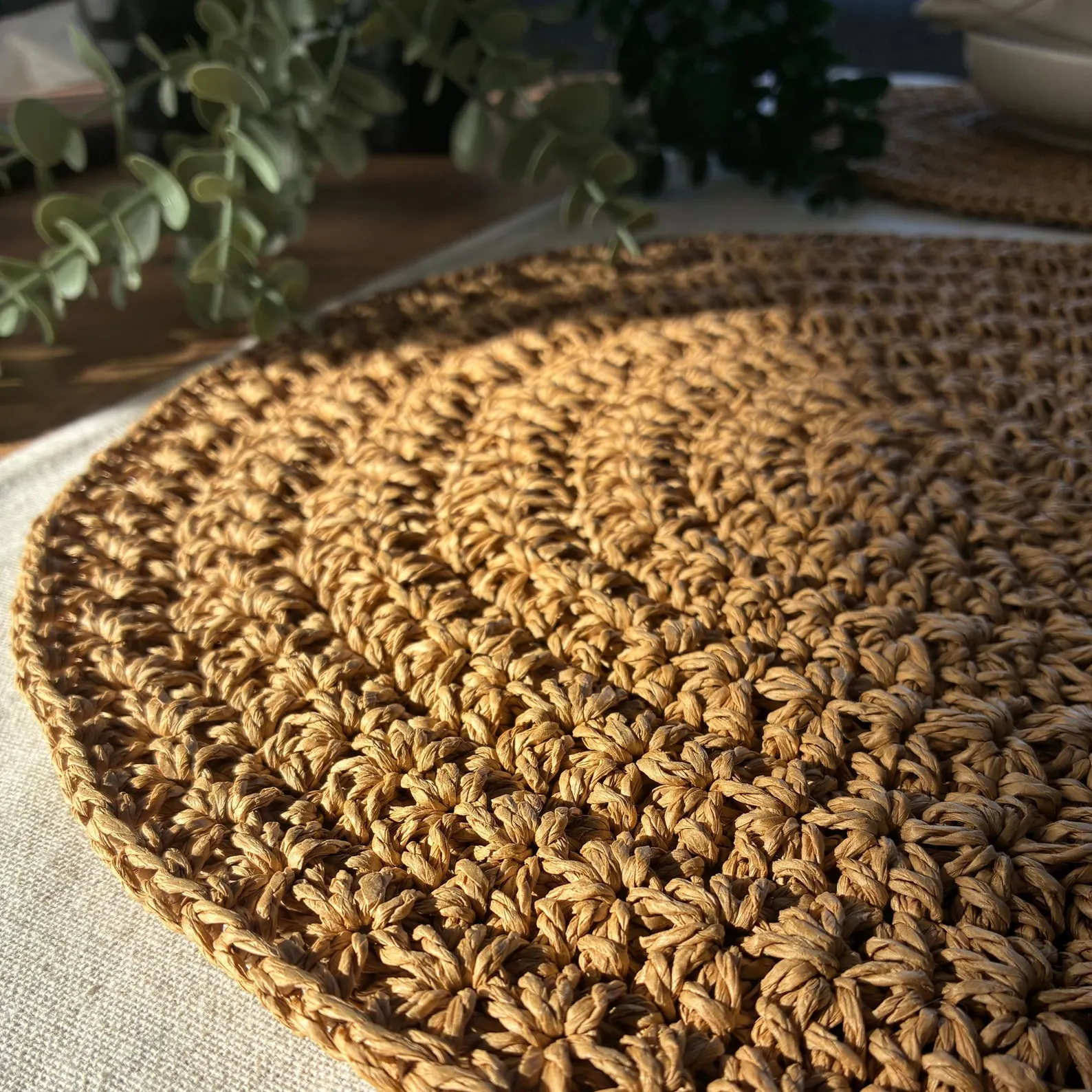 Hand Crocheted Star Pattern Paper Yarn Placemat Set